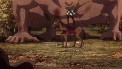 This horse doesn’t give a single fuck.