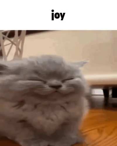 joy