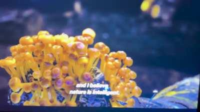 Nature is intelligent!!!!