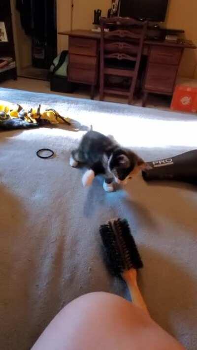 Terrifying Hairbrush!