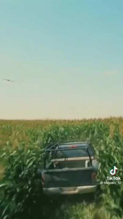 Shamelessly stolen from Tik Tok but I had to share because this is a very beautiful edit. Credit goes to filmedits_57 for this incredible video