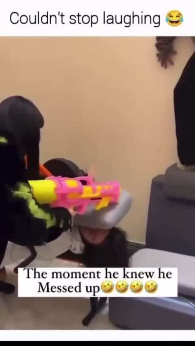 Dude didn't stand a chance