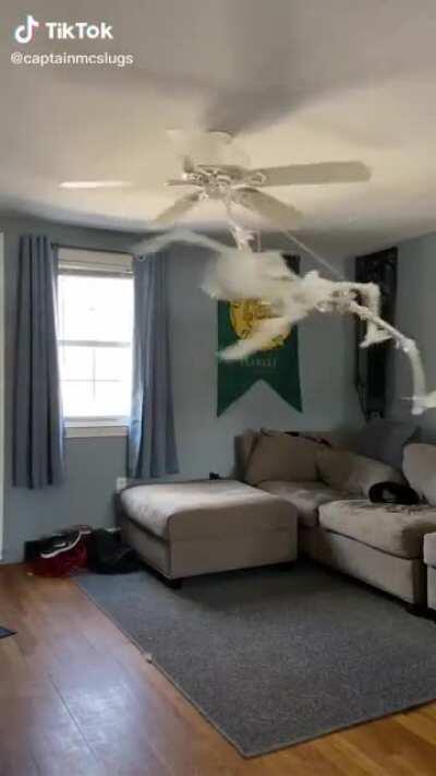 Not my video, but I want one