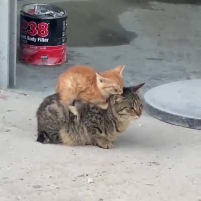 The safest spot..(OC)