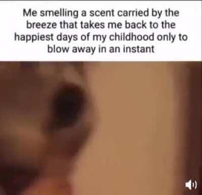 Just a little too relatable 