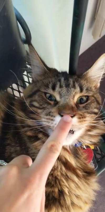 Another day, another insane expression