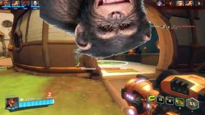 What most Paladins sessions with the boys become these days.