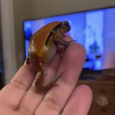 Linda: &lsquo;Over &amp;amp; OUT!&rsquo;