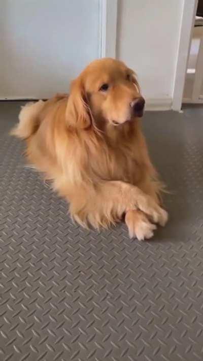 Smart Golden