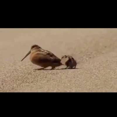 I don’t know why I made this but I felt like sharing.