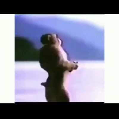 How to start your morning.