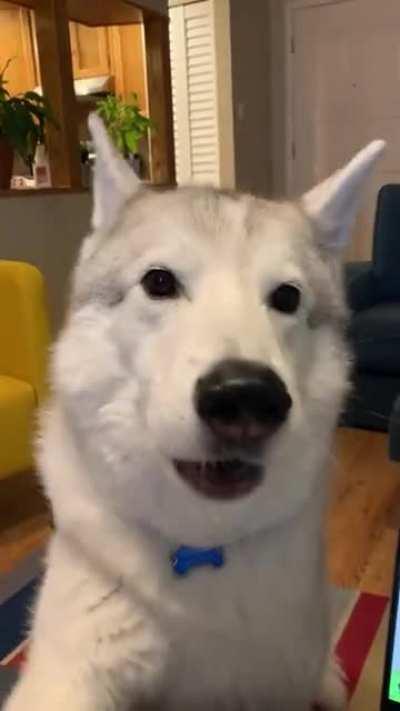 He is absolutely obsessed with Kanye West.