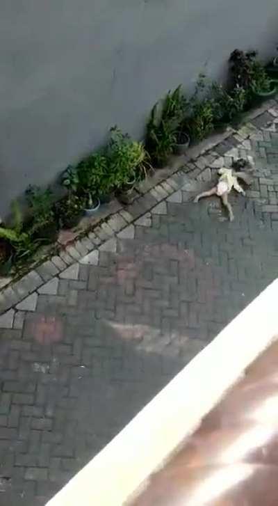 Rella rella rella rella rella rella