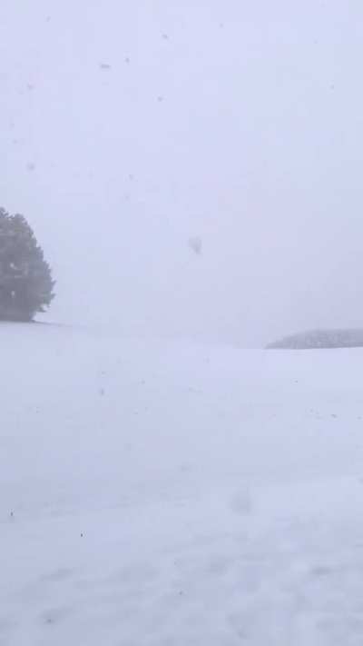 This was Biei, Japan, earlier this morning.
It’s snowing like crazy.. and it’s only mid-November! What happened to autumn?