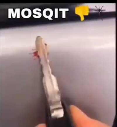mosqit👎🦟