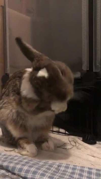 He is the most handsomest boi