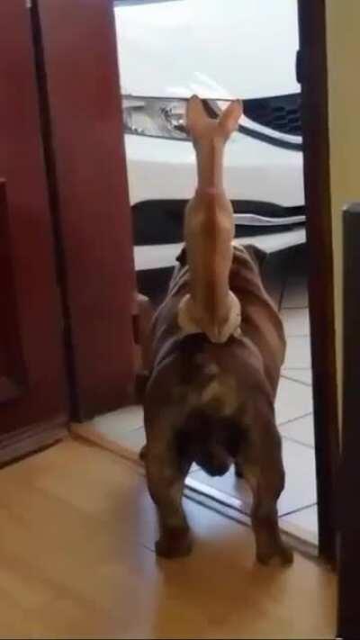 A los de Coppel les van a faltar manos para pelársela a mi sistema de defensa.