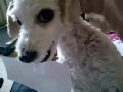 That didn't end well