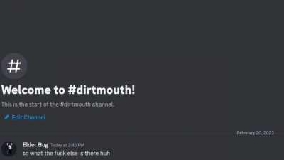 Hollow Knight but it's an awful discord meme