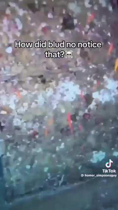 Losercity scuba diving