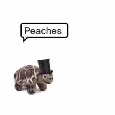 Peaches