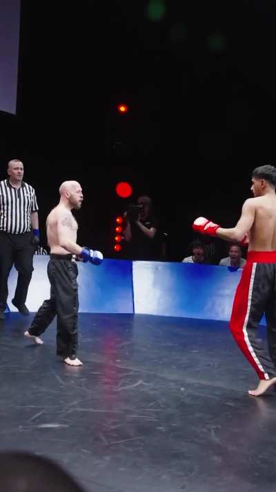 Thoughts On Total Kombat?