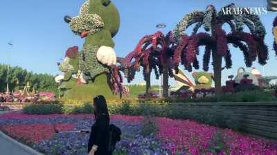 The Pakistani who made the desert bloom — Dubai Miracle Garden