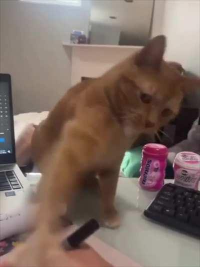 you are not allowed to work today