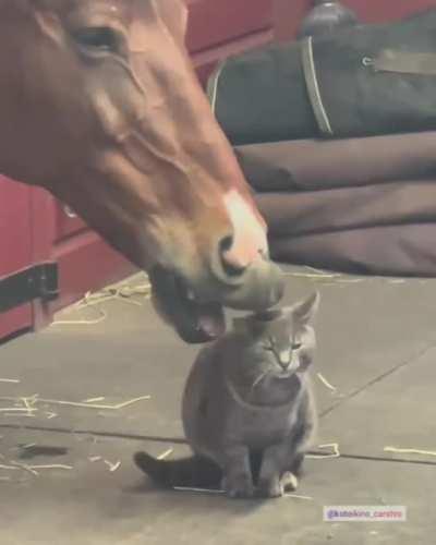 breakfast served all day