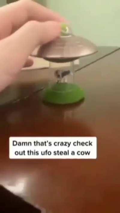 🛸🐄