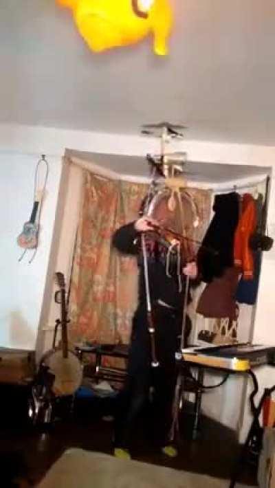 Venus infurs - cover