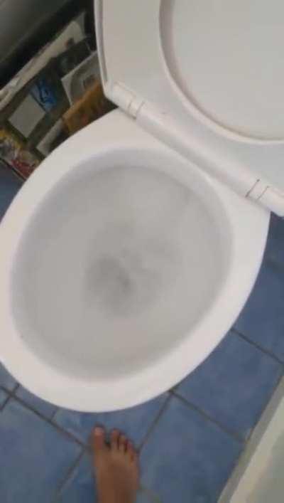 Watch out when you taking a dump