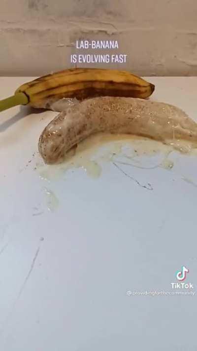 this shit is bananas!