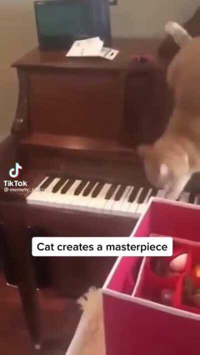 Just a derpy maestro cat!
