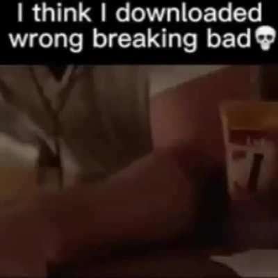 Why is whenthe saying we’re zoophiles now