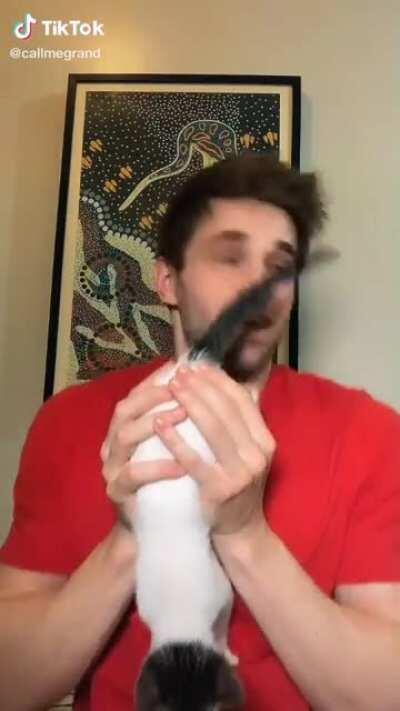 What the actual fuck?