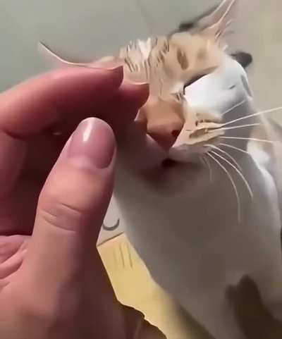 I can’t understand why someone would do this.