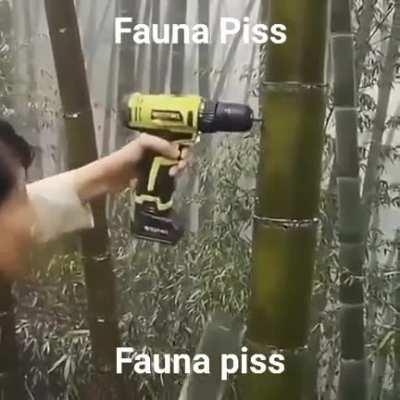 Fauna Piss