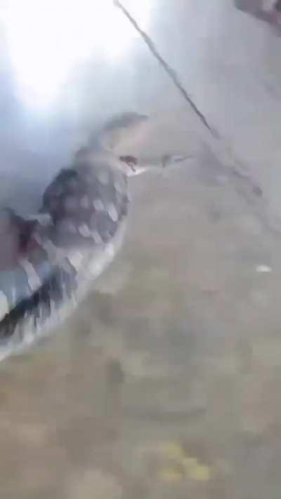 most normal man in thailand