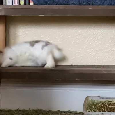 A very big bookshelf flop (the sound!)