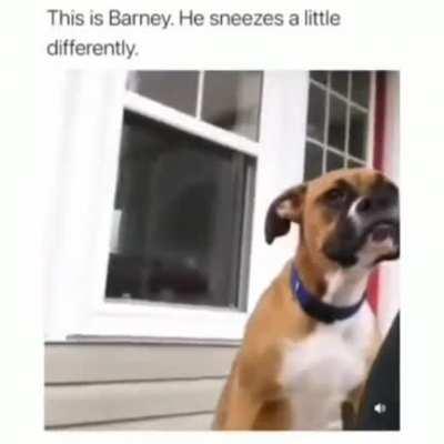 Barney seems a little odd