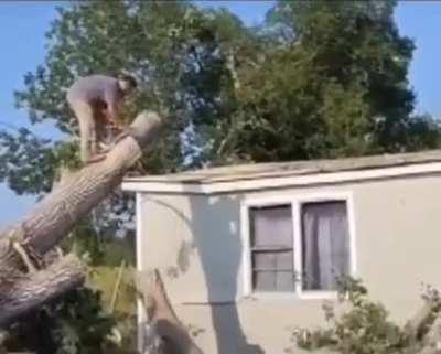 WCGW If I Cut This Tree Right About Here