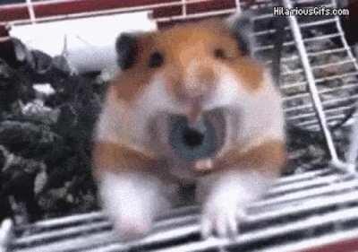 Eyemster, the Sight from Within