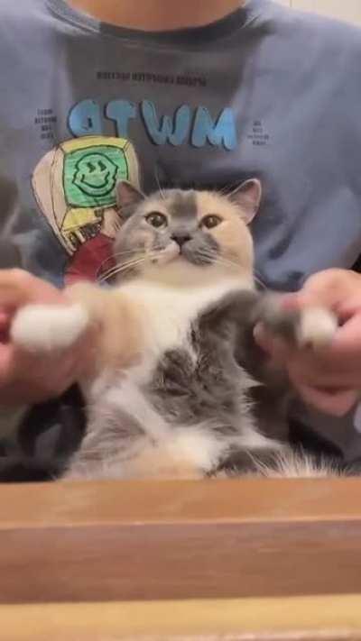 pUpPetEeR mAsTEr fOrCes cAt tO dAnCE fOr tHEir oWN aMuSemENT