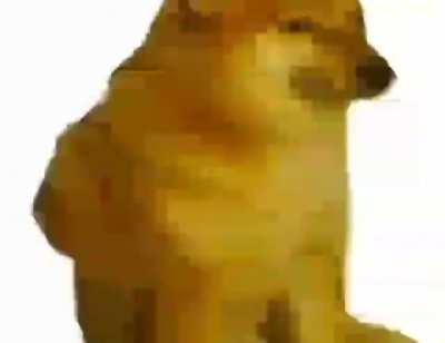 le shitty cheems meme i had stored on my iphone