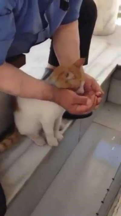 MashaaAllah. May Allah swt grant this brother jannah ameeeen <3