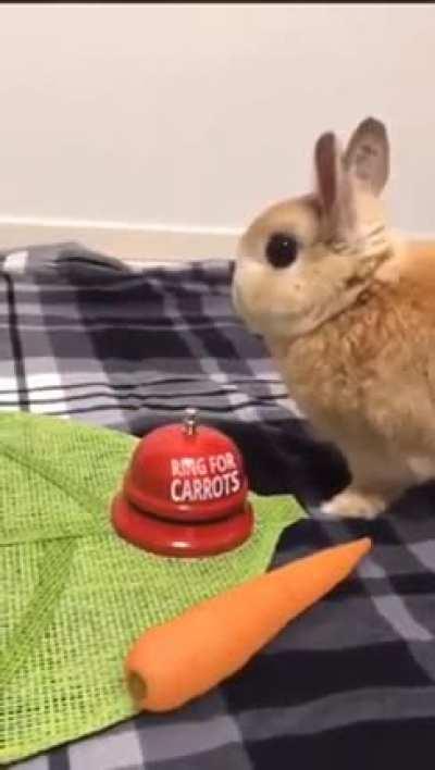 Ring For Carrots