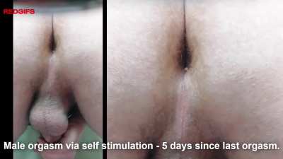 PART 1: 33 Y/O male orgasm with closeup pulsating asshole & taint This was my first orgasm in 5 days.  .  .