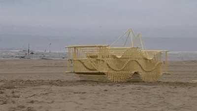 These 'Beach Animals' were created by Theo Jansen as a fusion of art and engineering. The kinetic structures walk on their own and get all their energy from the wind.