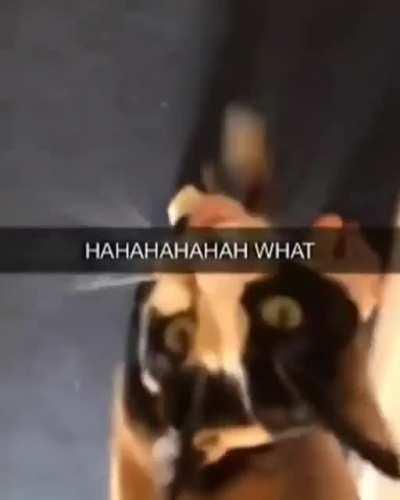 I think this fits in this sub